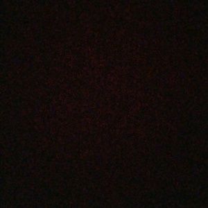 Meet your Posher, Levi